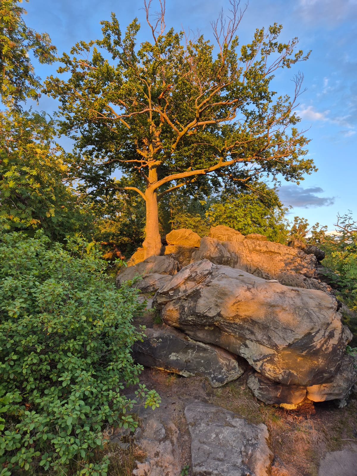 Teufelsmauer Erleben im Harz – Bild 9
