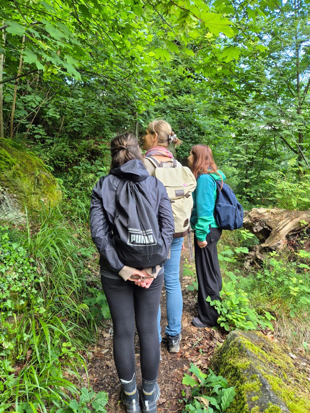 Teufelsmauer Erleben im Harz – Bild 12