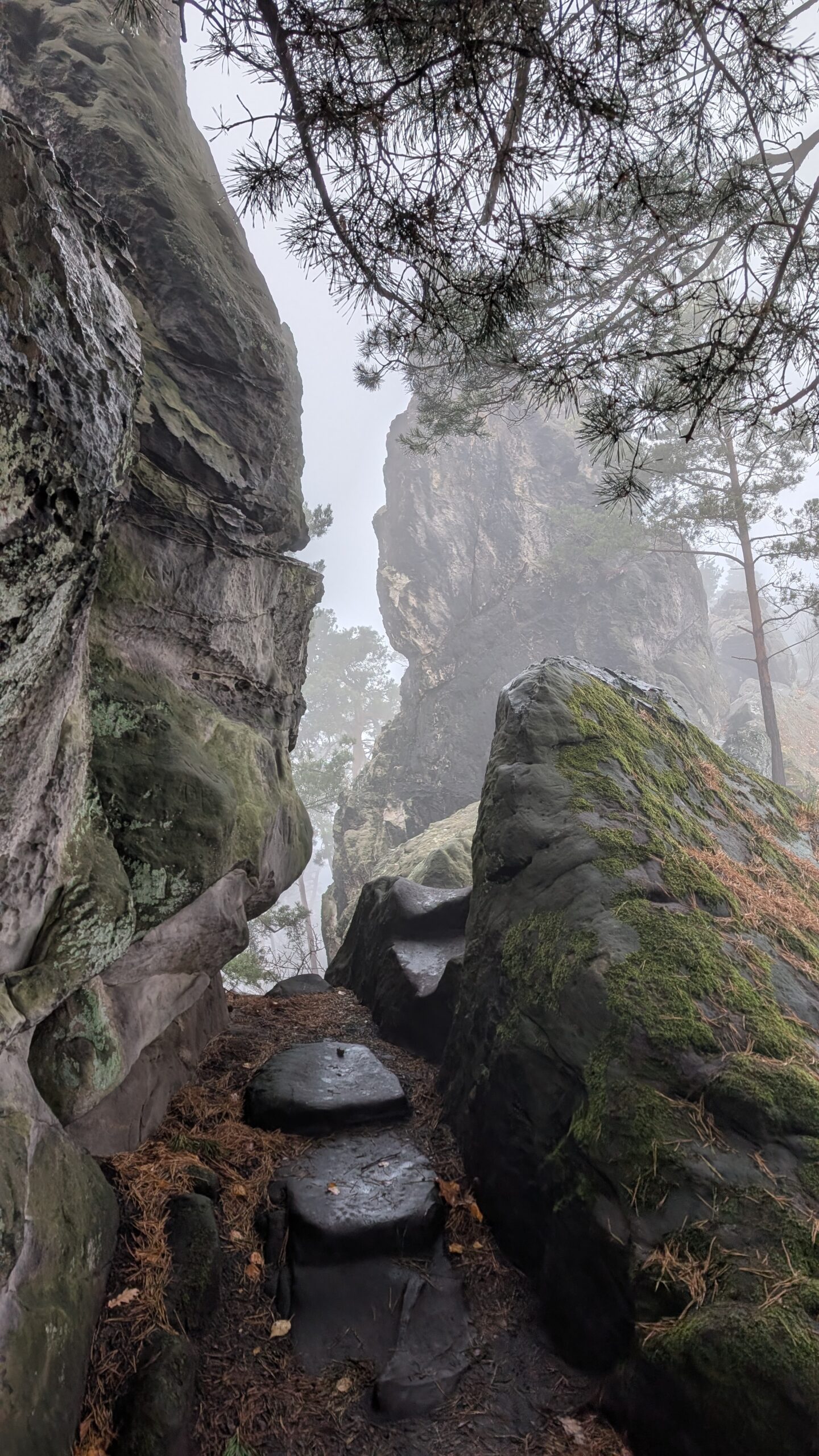 Erlebe die Teufelsmauer im Harz und fühle deinen Ursprung – Bild 17