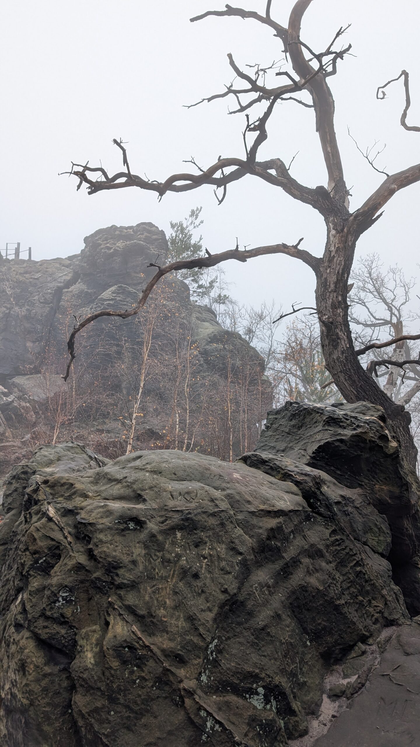 Erlebe die Teufelsmauer im Harz und fühle deinen Ursprung – Bild 19