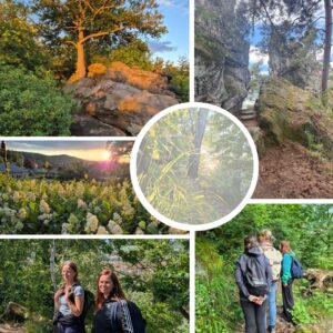 lightbody clearing (6)