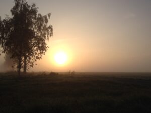 nebelsonne4_0_o